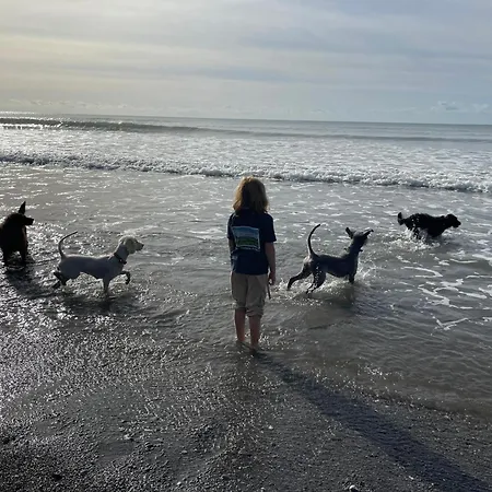 Dreckly - Lydcott Glamping With Cornish Sea Views Looe